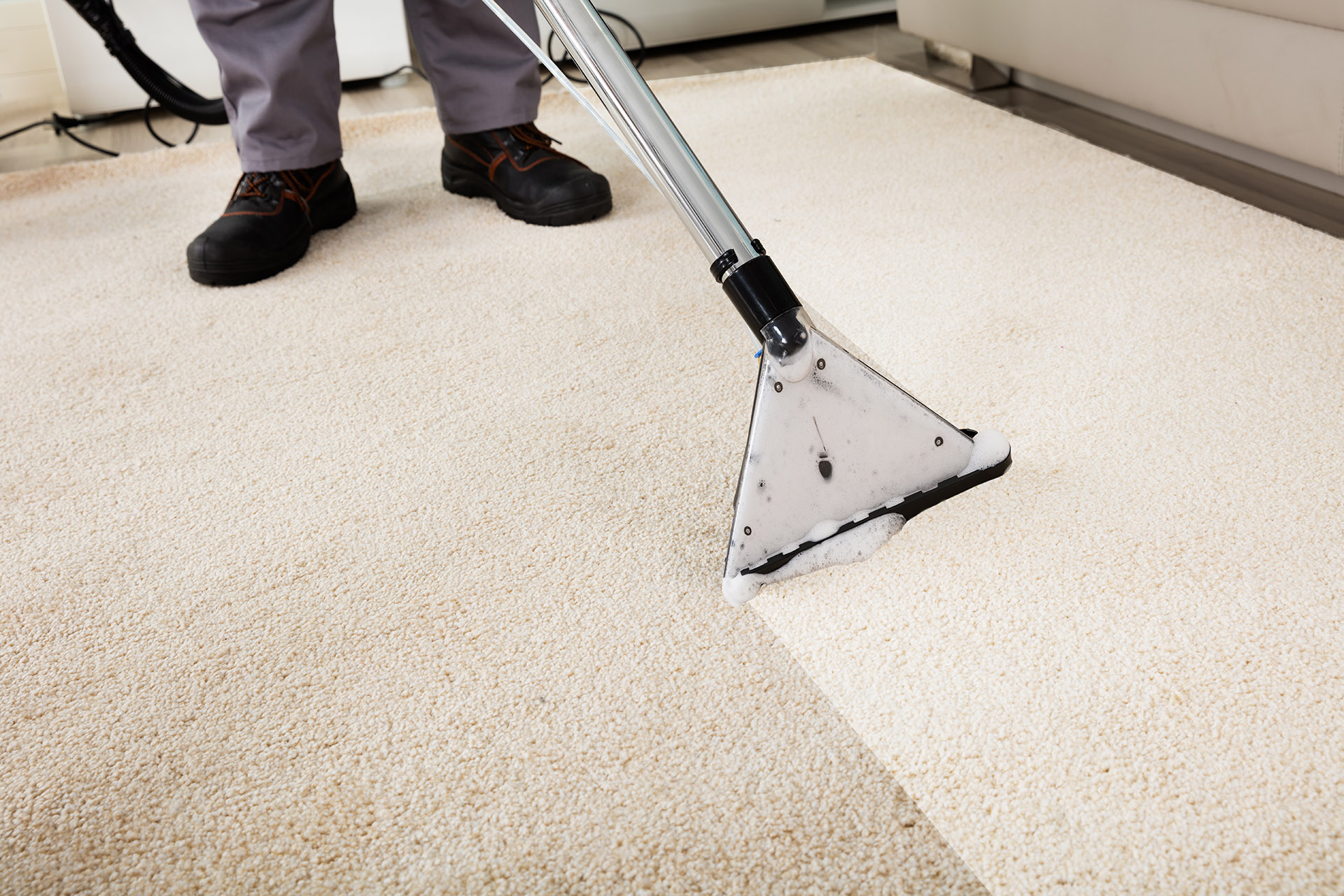 Carpet Maintenance 